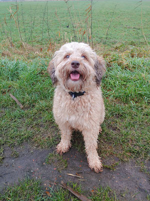 Symbolbild natürliches Verhältnis zwischen Mensch und Hund