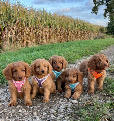 Symbolbild ruhiger Führungsstil